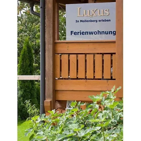 Experience Luxury In Feriehus *